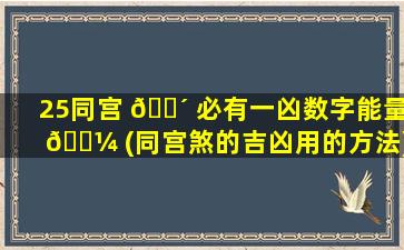 25同宫 🌴 必有一凶数字能量 🌼 (同宫煞的吉凶用的方法)